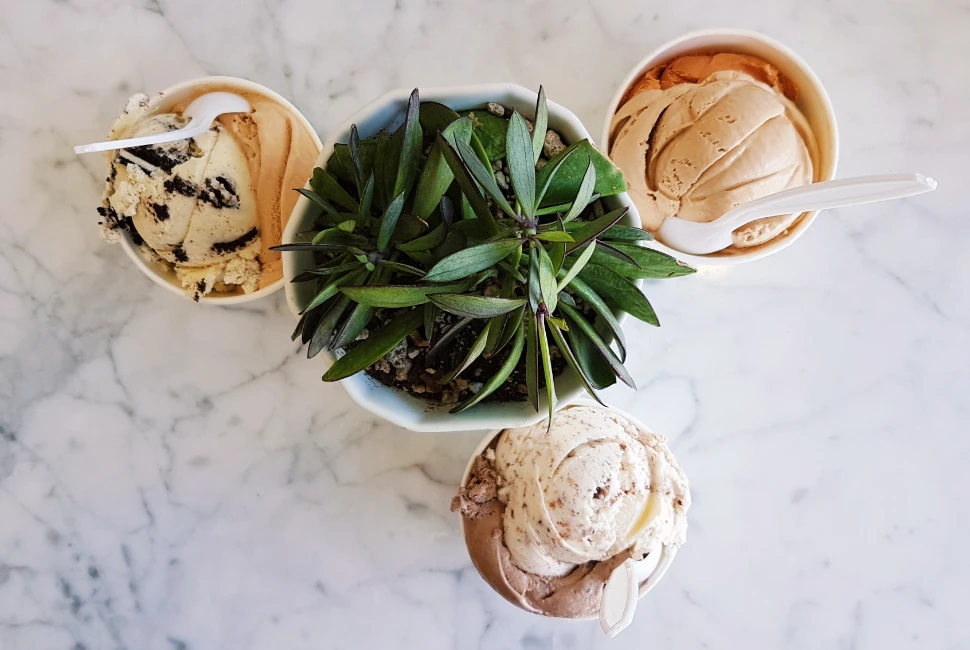 Where to Eat in Oakland, CA: A Culinary Journey through Diverse and Delicious Cuisine
