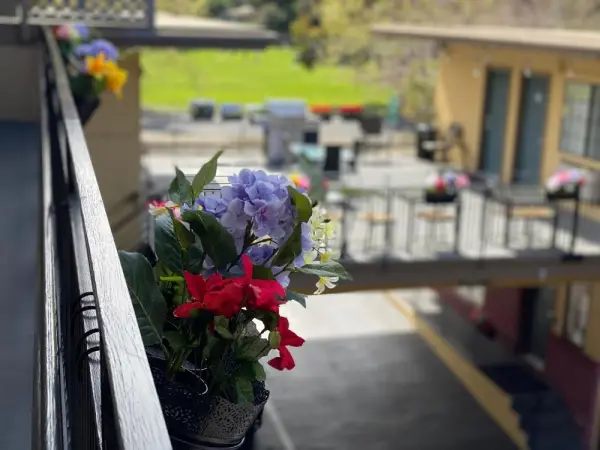 Westwind Lodge 7